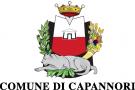 Lo stemma del Comune di Capannori