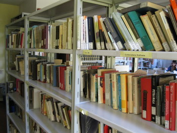 Libri sugli scaffali della biblioteca